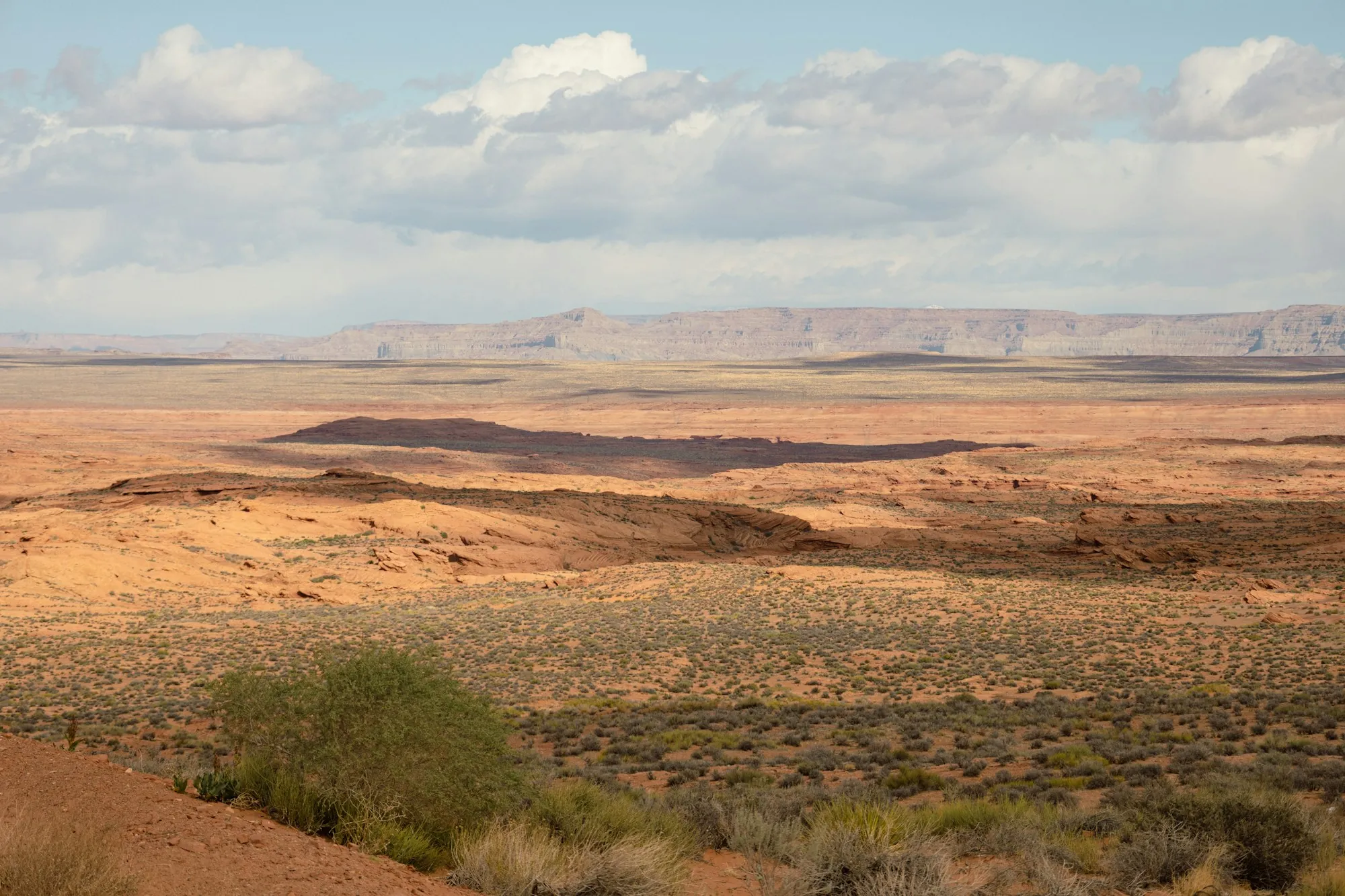 Wide high desert plain with scattered shrubs